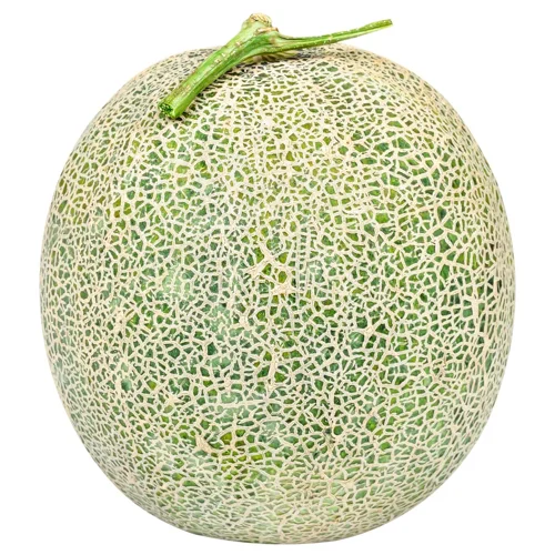 Диня Канта імпорт