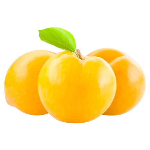 Алича вагова