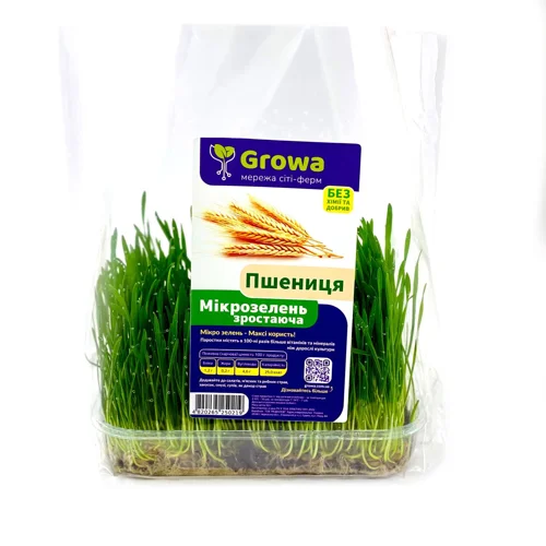 Мікрозелень зростаюча Growa Пшениця 50г