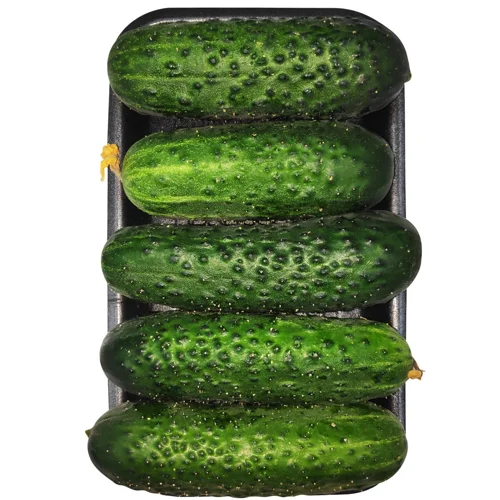 Огірки короткоплідні фасовані
