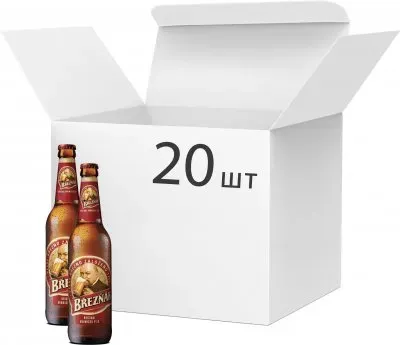 Упаковка пива Breznak Lager світле фільтроване 5.1% 0.5л 20 шт
