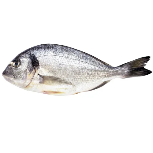 Дорадо охолоджена