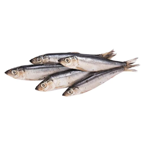 Кілька провісна солона