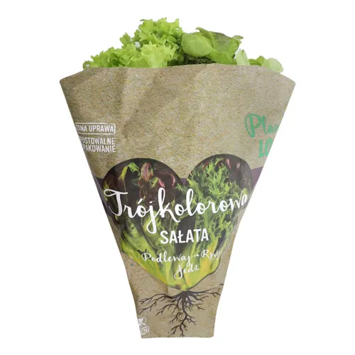 Салат Plant Love трьохкольоровий