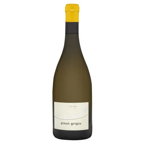 Вино Cantina Andriano Pinot Grigio біле сухе 13,5% 0,75л