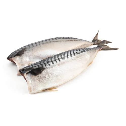 Скумбрія Атлантична Патрана Вищого Ґатунку, б/г, 1.0 кг