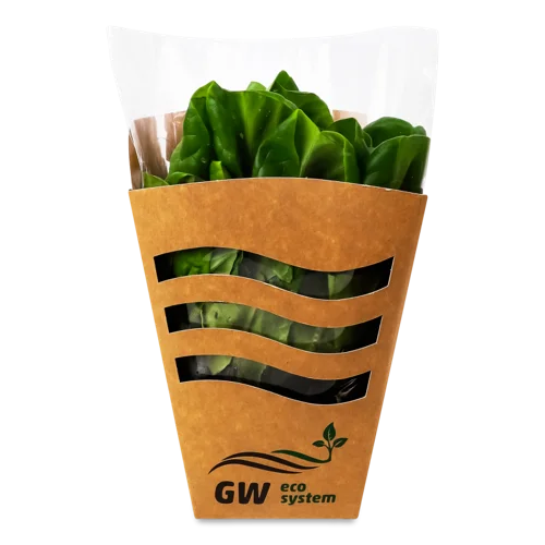 Салат Свіжий Листовий GW Eco System, 150г