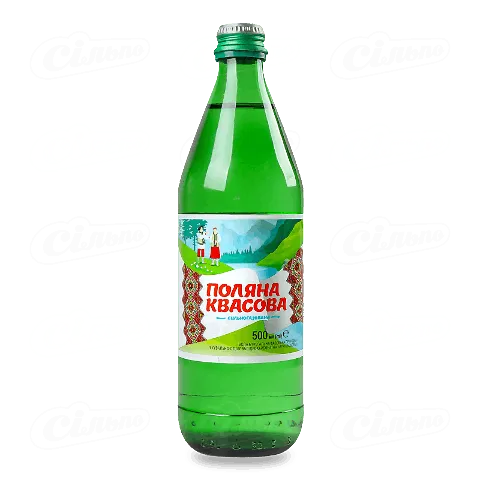 Вода мінеральна «Поляна Квасова» лікувально-столова сильногазована, 0,5л
