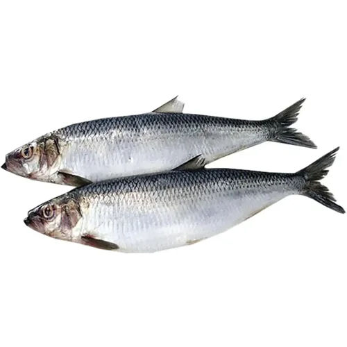 Оселедець сиров'ялений розморожений, ваг