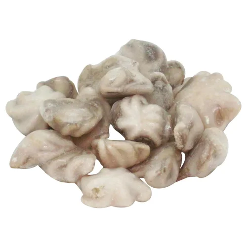 Восьминіг бебі ваговий