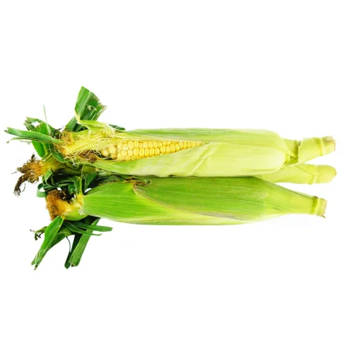 Кукурудза молода