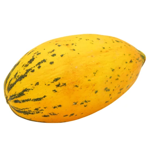 Диня Киркагач кг