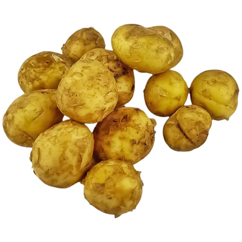 КАРТОПЛЯ БІЛА МОЛОДА 500ГР