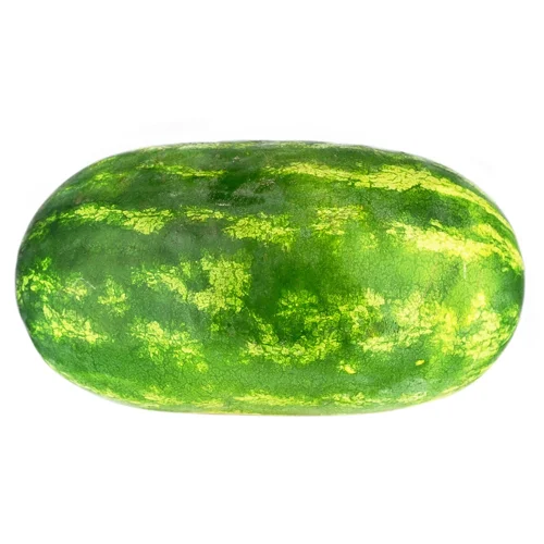 Кавун довгий