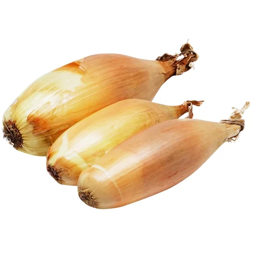 Цибуля шалот імпорт вагова