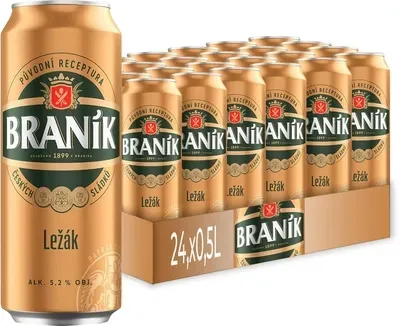Упаковка пива Branik Lezak світле фільтроване 12 5.2% 0.5 л x 24 шт