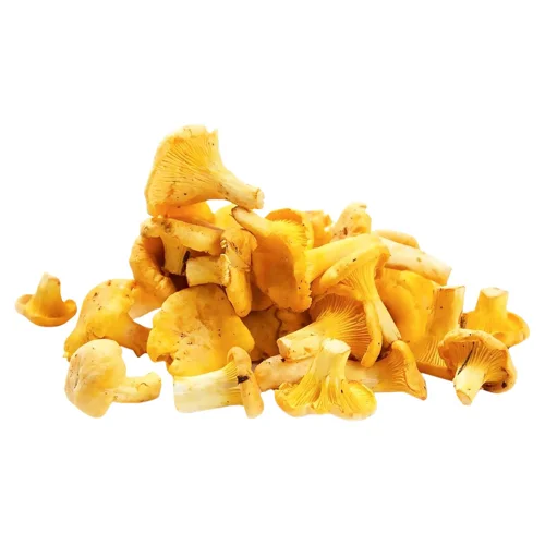 Лисички свіжі