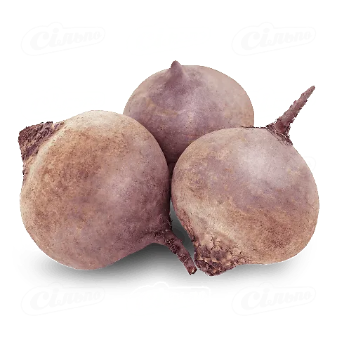 Буряк митий, кг