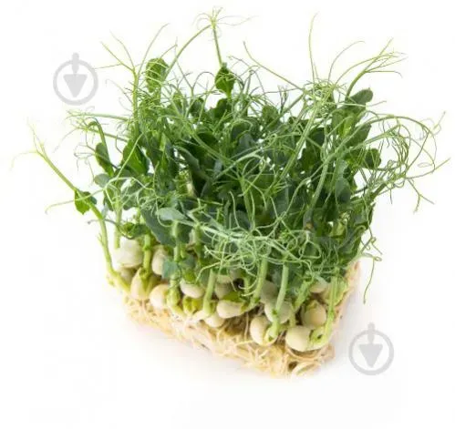 Горох Мікрогрін 50 гр блістер