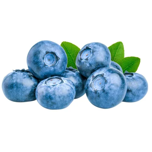 Лохина органічна