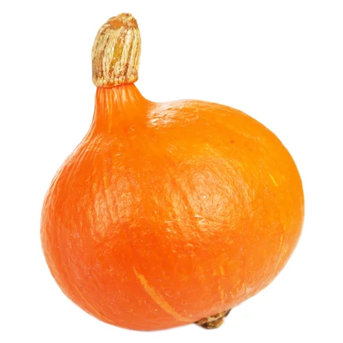 Гарбуз Хокайдо