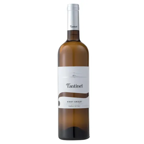 Вино Fantinel B.Tesis Pinot Grigio біле сухе 12,5% 0,75л