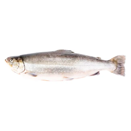 Голець річковий охолоджений