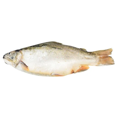 Голець (300-500г)