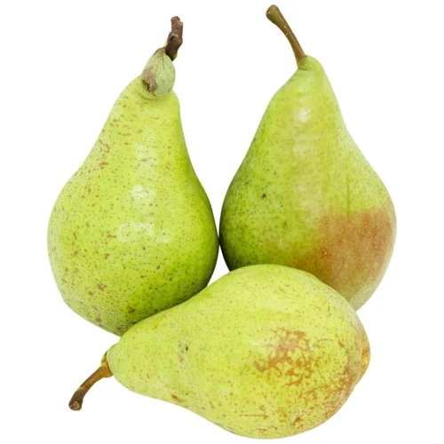 Груша листопадова