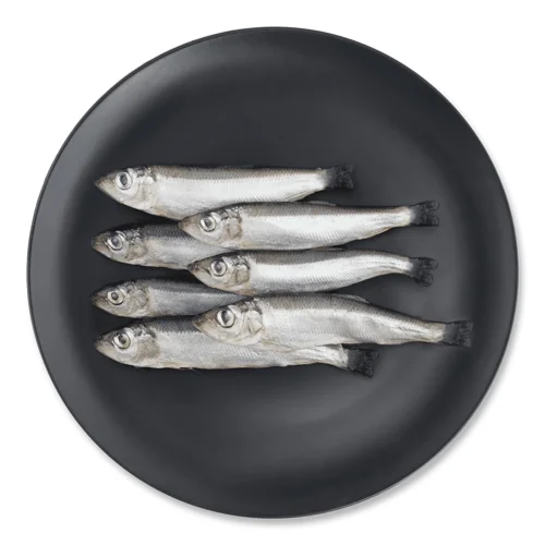 Салака слабосолена кг