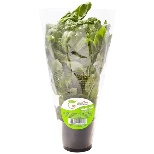 Базилік Green Time зелений в горщику 100г