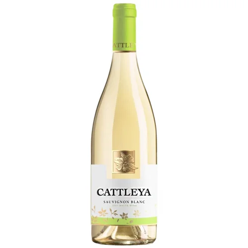 Вино Cattleya Cовіньйон Блан біле сухе 13% 0,75л