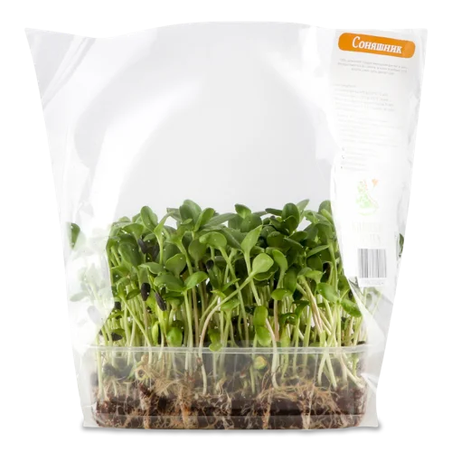 Мікрозелень Соняшника Ігуана, вищого ґатунку, 1 шт.