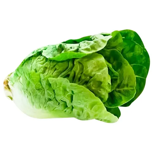 Салат ромен Бебі, шт