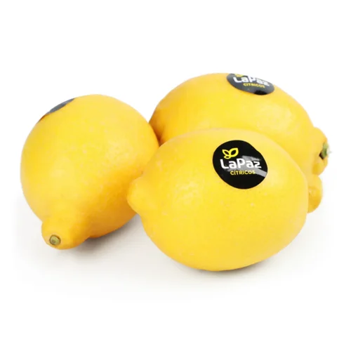 Лимон Bollo