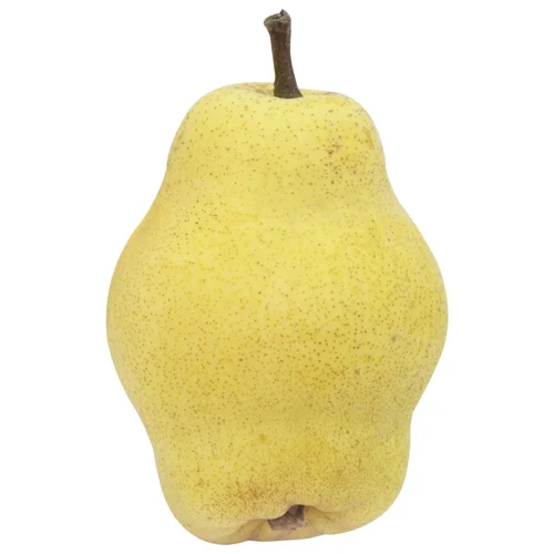 Груша Маргарита Марілья