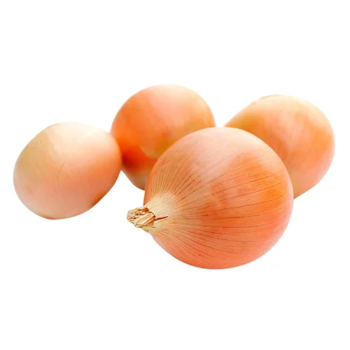 Цибуля ріпчаста імпорт вагова