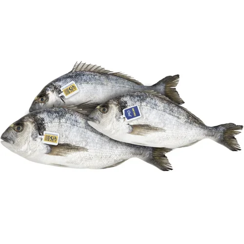 Дорадо Metro Chef Греція 600-800