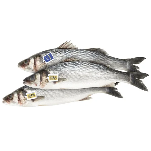Сібас Metro Chef Греція 200-300