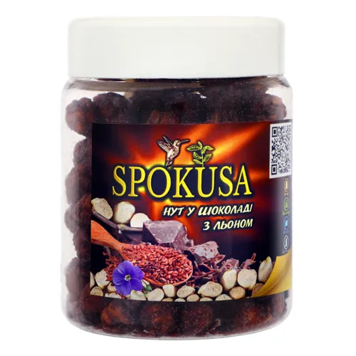 Нут у шоколаді з льоном Spokusa п/б 100г