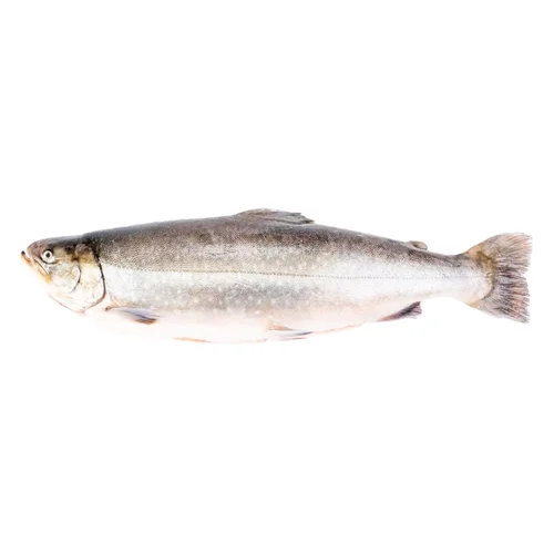 Голець річковий патраний охолоджений