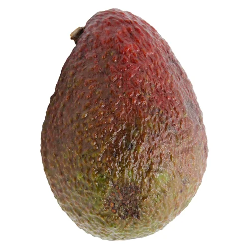 Авокадо Хасс