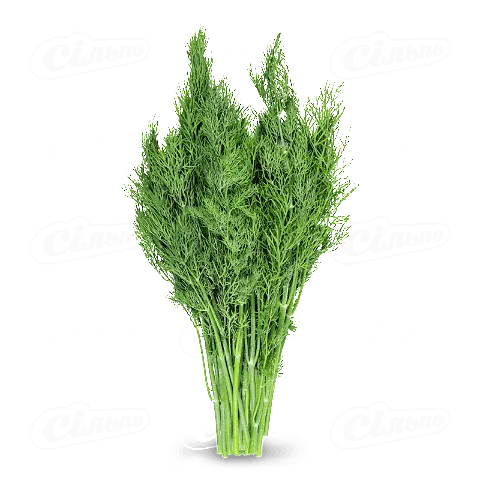 Кріп Зелена Країна пучок, 70г