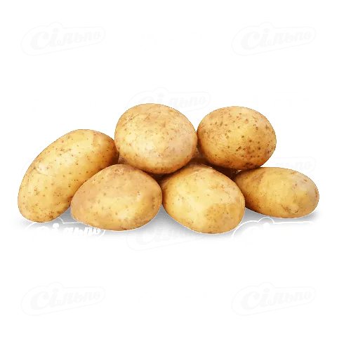 Картопля рання, кг