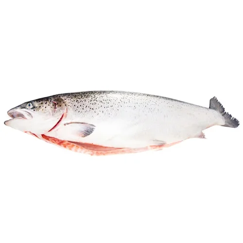 MC ЛОСОСЬ 5+, КГ : MC ЛОСОСЬ ТУШКА