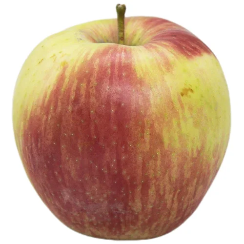 Яблуко Honey Crisp