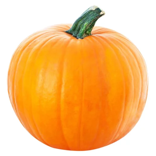 Гарбуз круглий