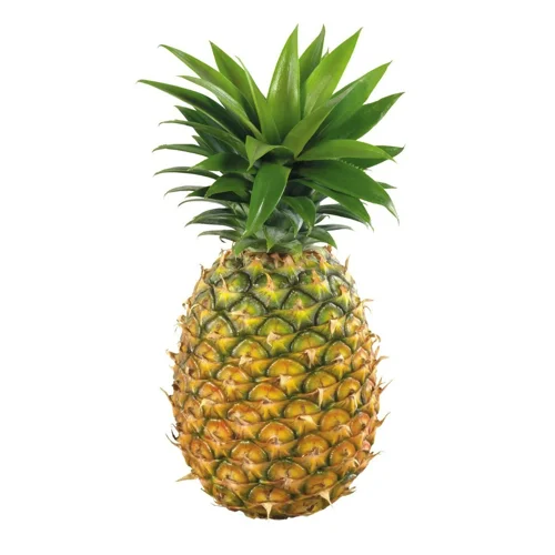 Ананас калібр В10 (1101-1300г), шт