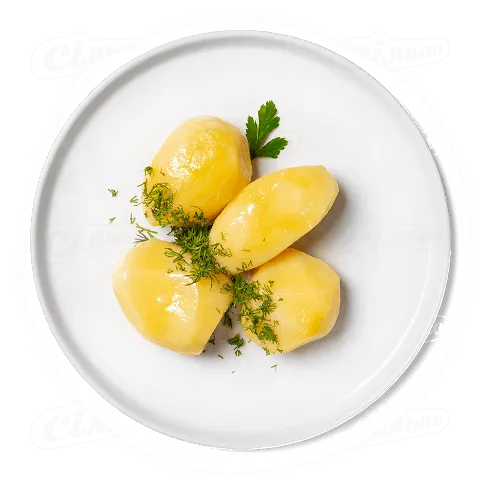 Картопля відварна з кропом, 1 кг