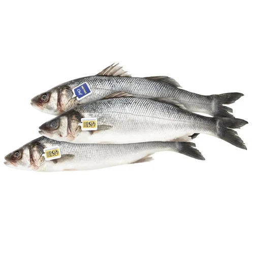 Сібас Metro Chef Греція 400-600